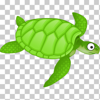 SVG Cartoon turtle SVG Cartoon turtle