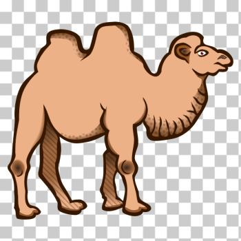 SVG Cartoon vector image of a camel SVG Cartoon vector image of a camel