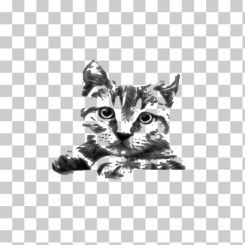 SVG Cat Drawing SVG Cat Drawing