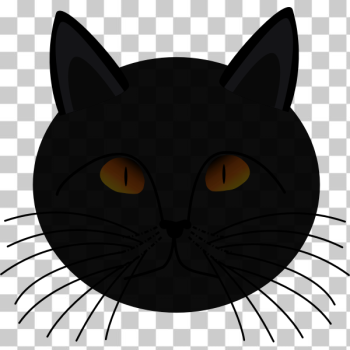 SVG Cat face vector drawing SVG Cat face vector drawing