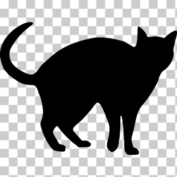 SVG Cat Silhouette 3 SVG Cat Silhouette 3