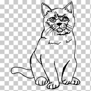 SVG Cat sketch line art SVG Cat sketch line art