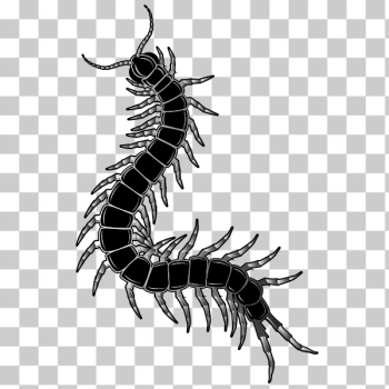 SVG Caterpillar silhouette clip art SVG Caterpillar silhouette clip art