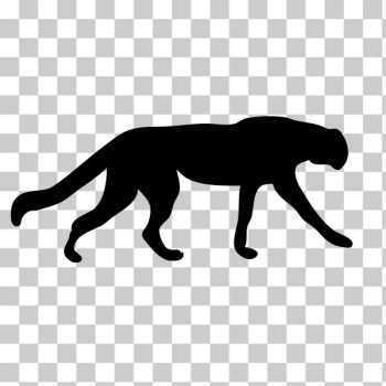 SVG Cheetah vector silhouette