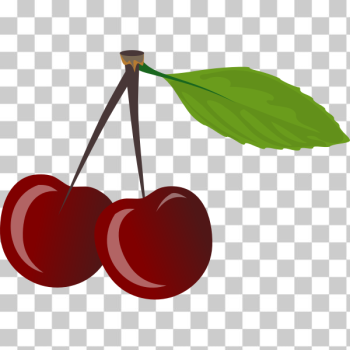SVG Cherries SVG Cherries