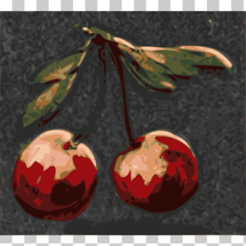 SVG Cherry-1574849573 SVG Cherry-1574849573