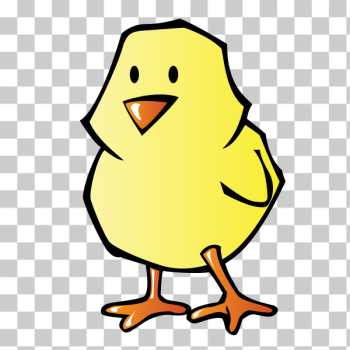 SVG Chick SVG Chick
