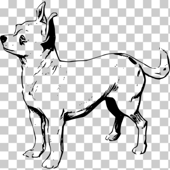 SVG Chihuahua vector image SVG Chihuahua vector image