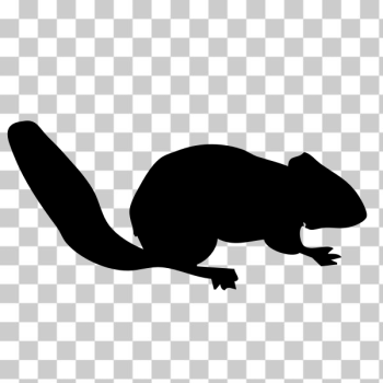 SVG Chipmunk contour SVG Chipmunk contour
