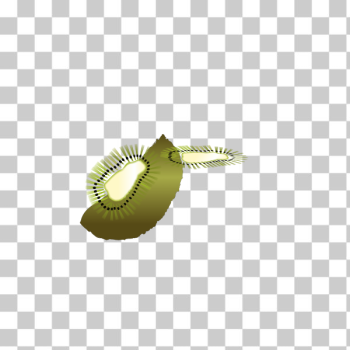 SVG clean kiwi SVG clean kiwi