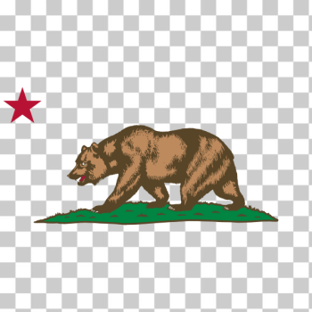 SVG Clipart Flag of California Star Bear Plot SVG Clipart Flag of California Star Bear Plot