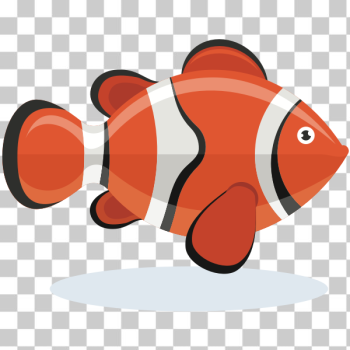 SVG Clownfish SVG Clownfish