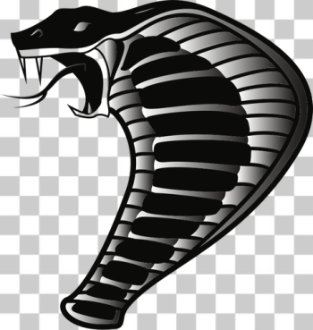 SVG Cobra snake SVG Cobra snake