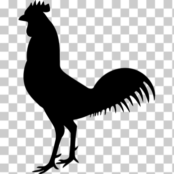 SVG Cock Silhouette SVG Cock Silhouette