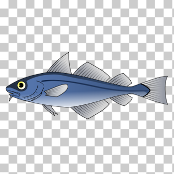 SVG Codfish vector image SVG Codfish vector image