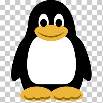 SVG Color penguin vector image SVG Color penguin vector image