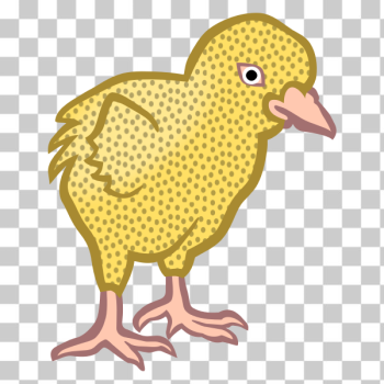 SVG Colored chick SVG Colored chick