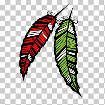 SVG Colored feathers SVG Colored feathers