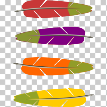 SVG Colored feathers vector graphics SVG Colored feathers vector graphics