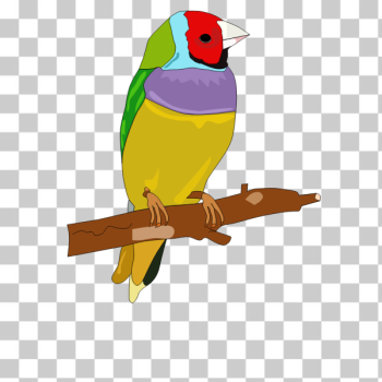 SVG Colorful bird SVG Colorful bird