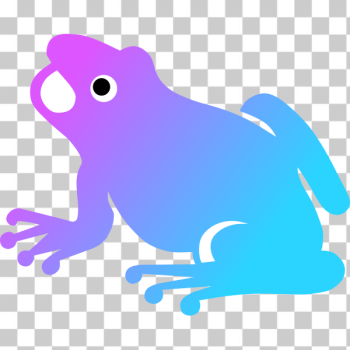 SVG Colorful frog SVG Colorful frog