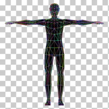 SVG Colorful human anatomy SVG Colorful human anatomy