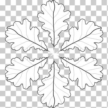SVG Coloring book leaves SVG Coloring book leaves