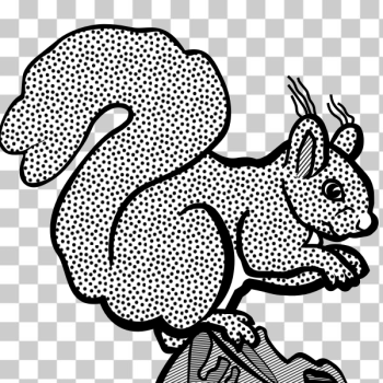 SVG Coloring book squirrel SVG Coloring book squirrel