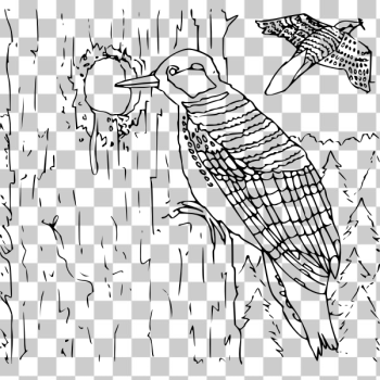 SVG Coloring Book Woodpecker SVG Coloring Book Woodpecker