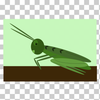 SVG Comic grasshopper