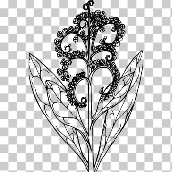 SVG Common Hounds Tongue Flower Plant SVG Common Hounds Tongue Flower Plant