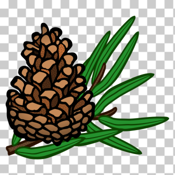 SVG cone - coloured SVG cone - coloured
