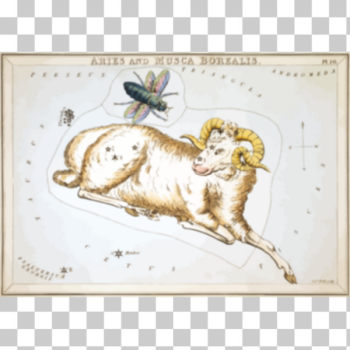 SVG Constellation card