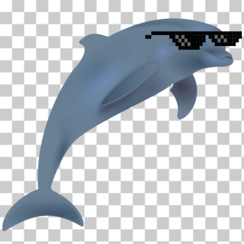 SVG Cool dolphin SVG Cool dolphin