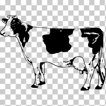 SVG cow SVG cow