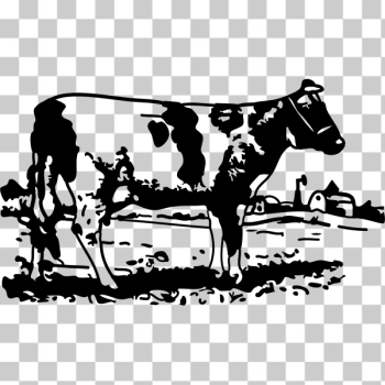 SVG cow SVG cow
