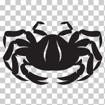 SVG Crab animal SVG Crab animal