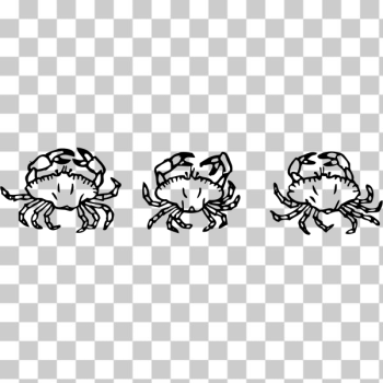 SVG crabs SVG crabs