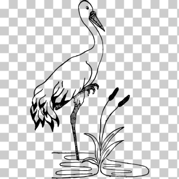 SVG Crane in a pond vector image SVG Crane in a pond vector image