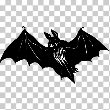 SVG Creepy bat SVG Creepy bat