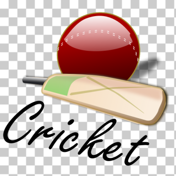 SVG Cricket bat and ball vector image SVG Cricket bat and ball vector image