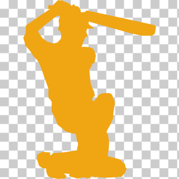 SVG Cricket player silhouette vector image