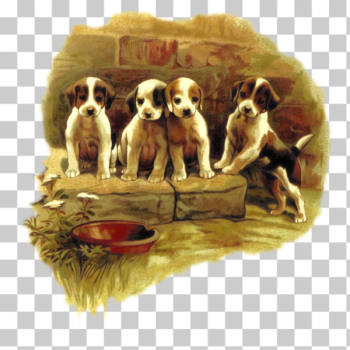 SVG Cute dogs drawing SVG Cute dogs drawing