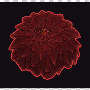 SVG Dahlia colour SVG Dahlia colour