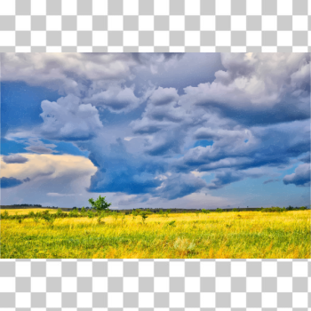 SVG Dark Storm Clouds Over The Savannah SVG Dark Storm Clouds Over The Savannah