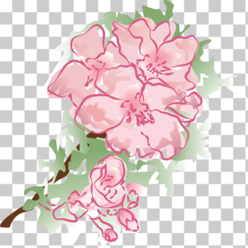 SVG Decoration flower vector illustration SVG Decoration flower vector illustration