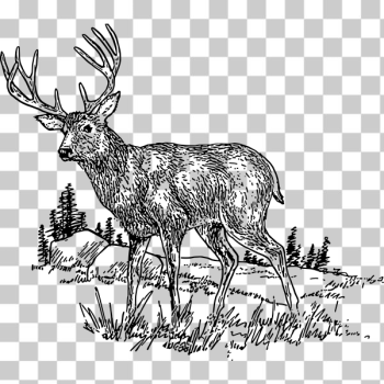 SVG Deer in nature