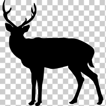 SVG Deer silhouette-1573809884