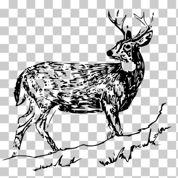 SVG Deer with horns vector image SVG Deer with horns vector image