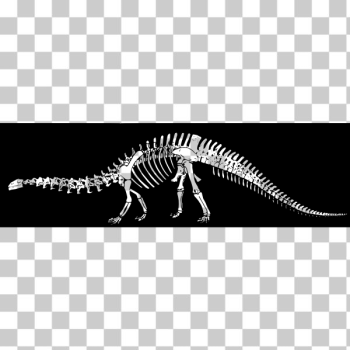 SVG Dino039s bones SVG Dino039s bones